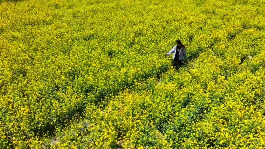 5月9日(1).jpg