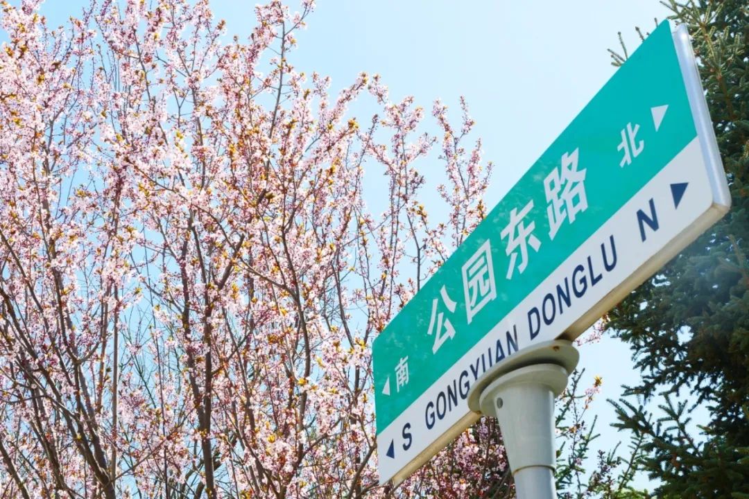 P1277254.JPG