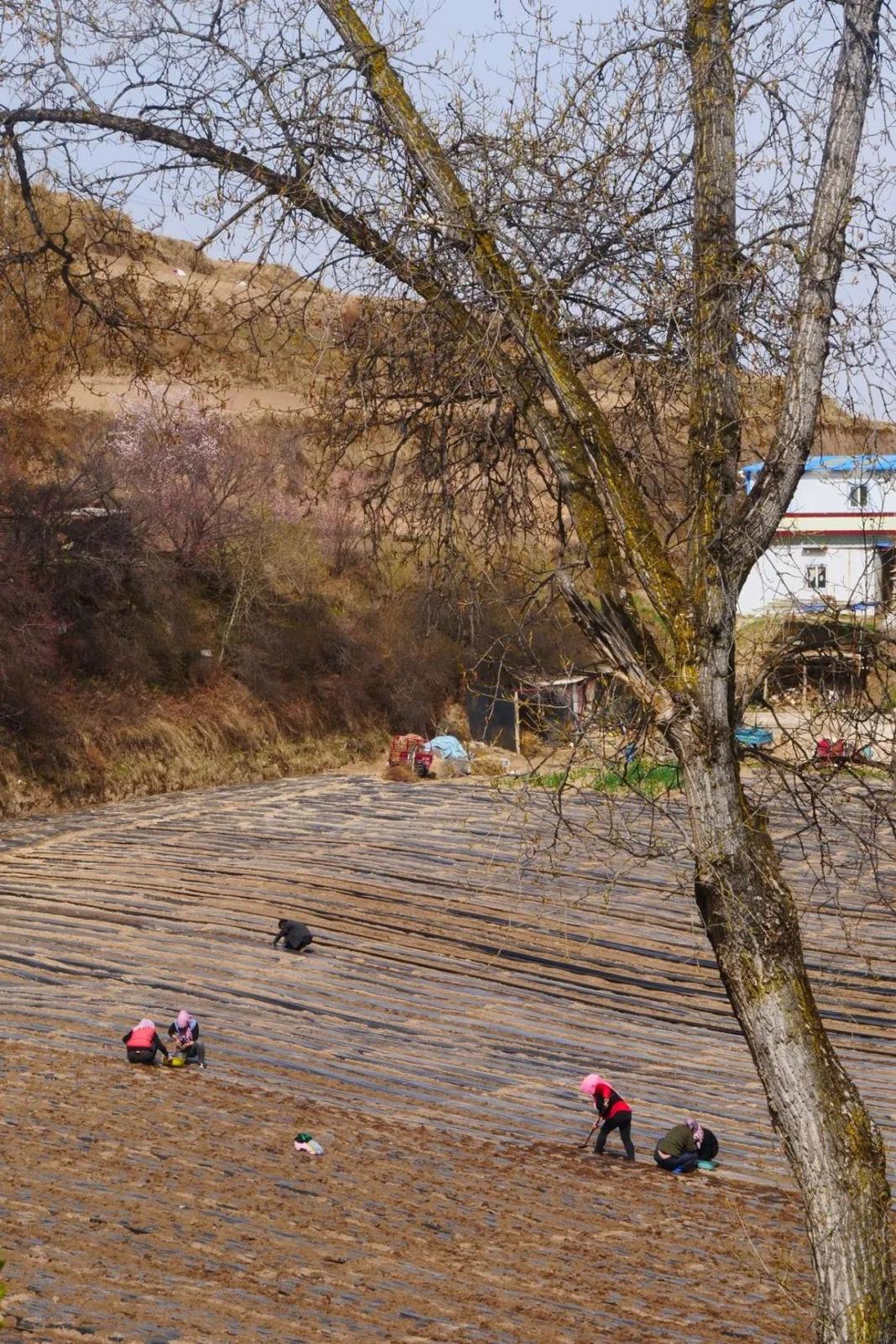 P1277546.JPG