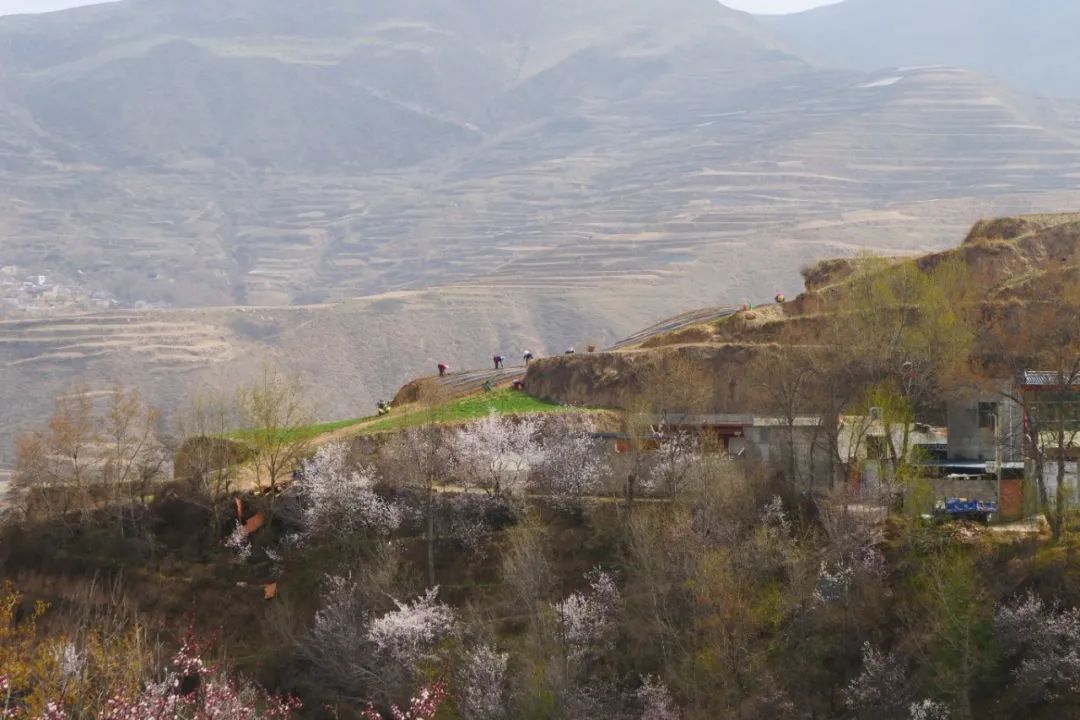 P1277555.JPG
