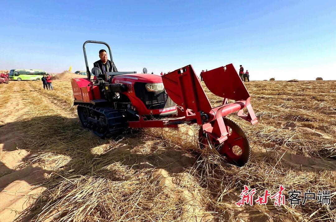 FZ007247290919_A5612243 图片