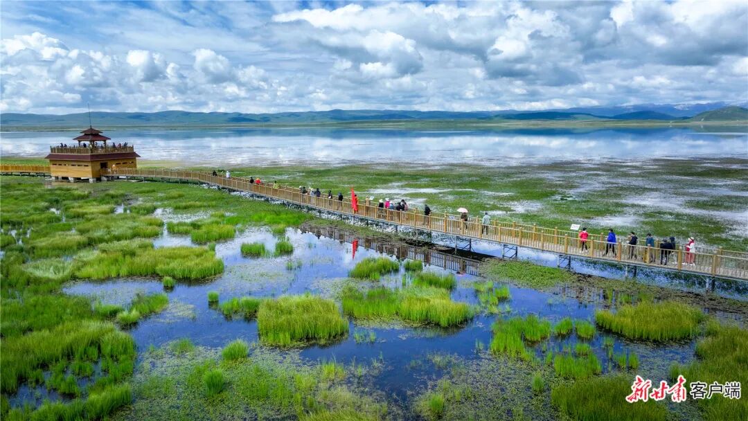 FZ007247095429_A5598977 图片