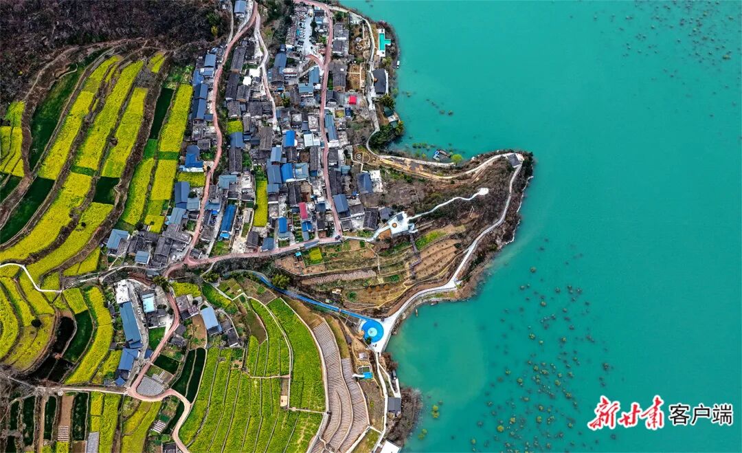 FZ007247209181_A5607272 图片