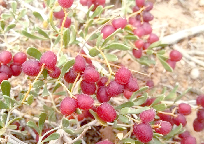 36be483c7ba53b95af1164cd6bc9af8c 图片