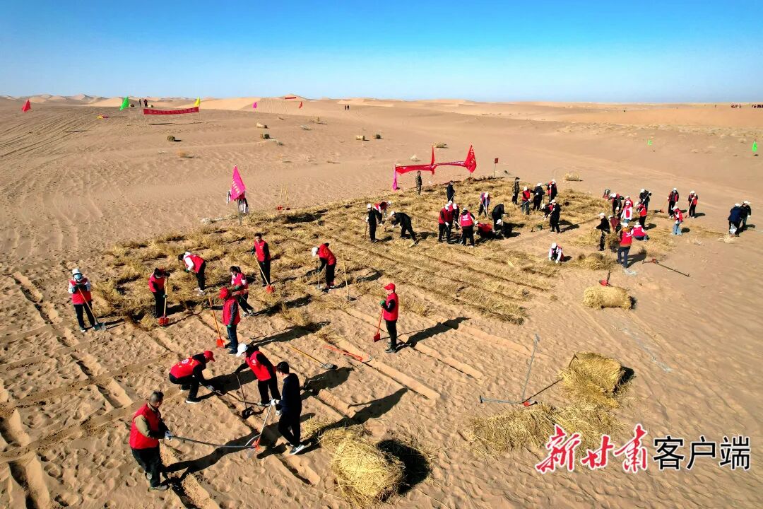 FZ007247290919_A5612239 图片