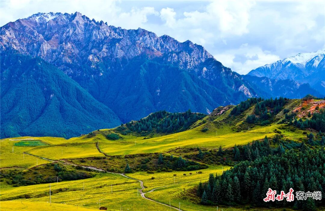 FZ007247095429_A5598976 图片