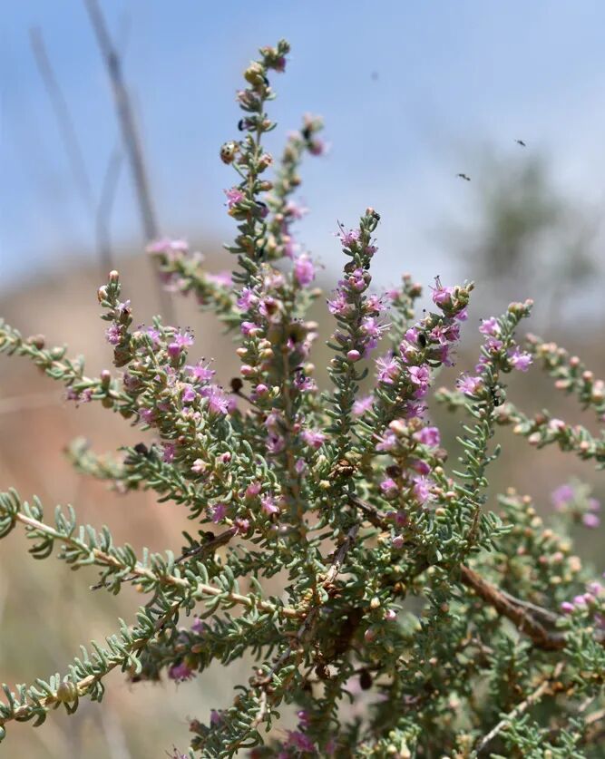 022524cbly1hrz82q0xipj20ij0rtdnn 图片