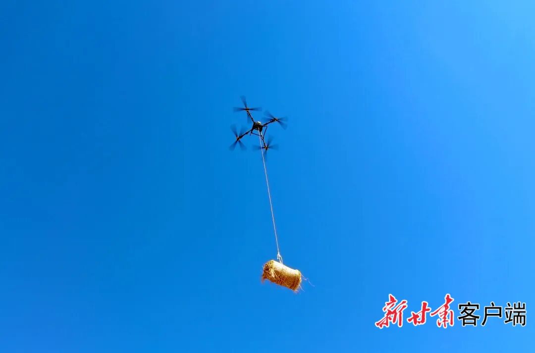 FZ007247290919_A5612240 图片