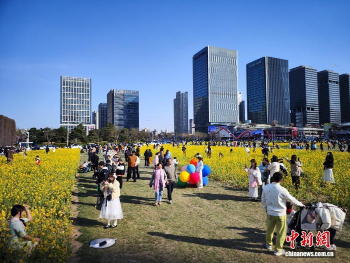 天津：民众踏青赏花邂逅春日浪漫之约